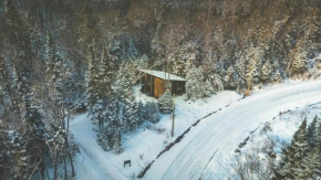 55 Impasse - Chalet Taiga with a Hot Tub in Tremblant Nord